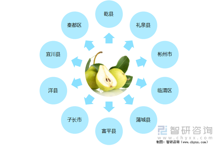 陕西梨基地县