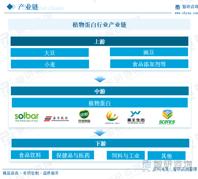 植物蛋白行业产业链
