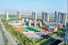 2020年中国及各线城市主要企业新增综合用地情况分析（附储备数量、占地面积、规划建筑面积、总成交额、平均楼面价）[图]