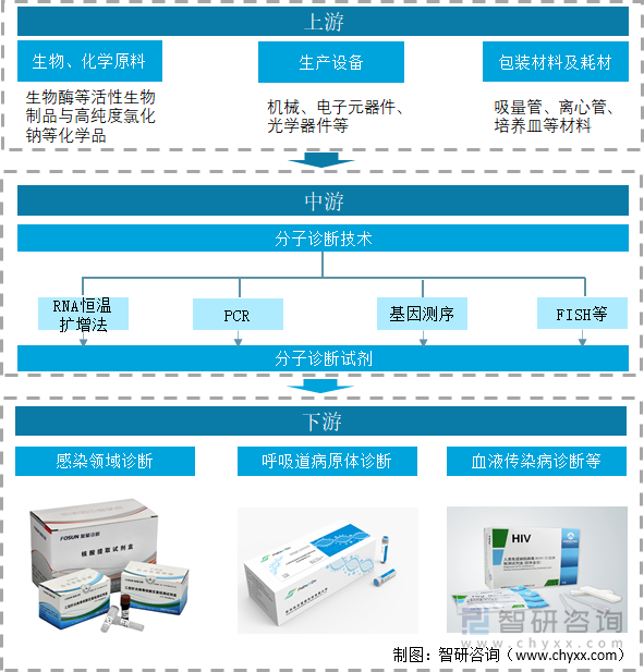 分子诊断是指应用分子生物学方法检测患者体内遗传物质的结构或表达水平的变化而做出诊断的技术。分子诊断是预测诊断的主要方法，既可以进行个体遗传病的诊断，也可以进行产前诊断。分子诊断主要是指编码与疾病相关的各种结构蛋白、酶、抗原抗体、免疫活性分子基因的检测。分子诊断产业的上游为各类原材料及生产加工设备等，中游是分子诊断试剂，下游主要是分子诊断的应用，包括感染领域诊断、呼吸道病原体诊断以及血液传染病诊断等领域。分子诊断产业链