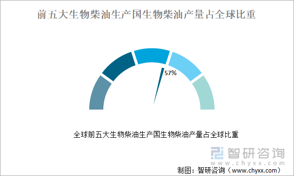 全球前五大生物柴油生产国生物柴油产量占全球比重