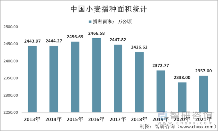 2013-2021年中国小麦播种面积统计