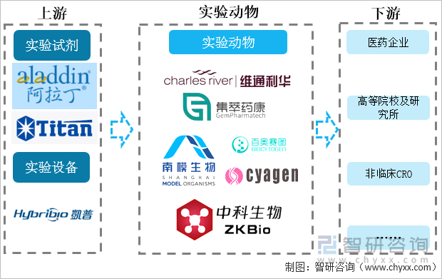 实验动物行业上下游产业链