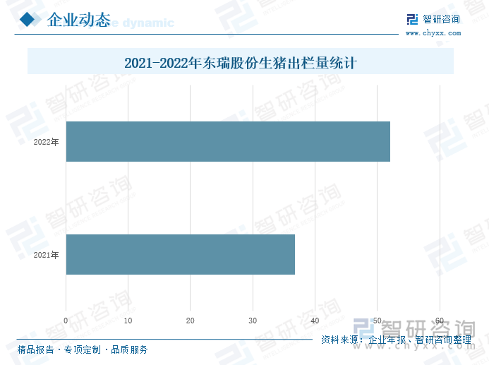 据企业年报，2021年，公司生猪出栏量为36.76万头；2022年，公司生猪出栏量为52.03万头，同比增长41.54%。伴随着非洲猪瘟对生猪出栏量的影响减少，我国的生猪养殖产能得以恢复，叠加和平东瑞农牧发展有限公司的高床生态养殖项目已经于2022年4月完工，部分产能已经投入使用，公司2022年的生猪出栏量得到大幅提升。