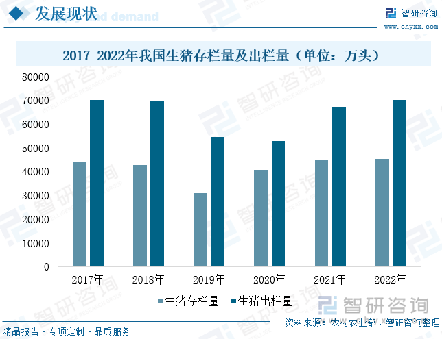 作为饲料主要消费领域，非洲疫情后，国家出台了一系列扶持及补贴政策促进生猪产能恢复。在相关政策扶持下，2020-2022年，我国生猪养殖规模不断扩大。2022年我国生猪存栏量及出栏量分别为4.53亿头和7.0亿头，同比分别增长0.70%和4.30%。其中，2022年末，全国能繁育母猪存栏4390万头，较上年增加62万头，同比增长1.4%。能繁育母猪存栏数增加，意味着去产能行动结束，生猪养殖进入新一轮周期，生猪产能将恢复上涨，并有望带动猪饲料需求增加。同时，随着居民生活水平不断提高，我国居民肉类人均消费量也逐步增加，为了增加肉类供给，平衡肉类消费，国家鼓励禽类及牛羊养殖。在相关政策驱动下，我国禽类及牛羊等养殖规模将持续扩大，也将进一步拉动饲料需求上涨。