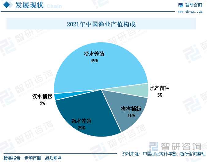 2021年，我国渔业总产值为29689.73亿元，其中渔业产值15158.63亿元。渔业产值中，淡水养殖产值为7473.75亿元，淡水捕捞产值336.56亿元，海水养殖产值4301.7亿元，海洋捕捞产值2303.72亿元，水产苗种产值7473.75亿元。除淡水捕捞外，其他水产品产值均较上一年度有所增长。我国地域辽阔，拥有长江和黄河两大水系，以及鄱阳湖、洞庭湖、太湖等众多湖泊；海岸线漫长，从北至南分布有渤海、黄海、东海、南海等海域，水产品种类丰富。目前，我国渔业产值中占比最大的是淡水养殖，占比达49%。我国淡水养殖历史悠久，从北至南、从东往西，水体环境多元化，适合各种水产生物的生长和繁殖。另一方面，我国内陆城市较多，大部分居民的生活习惯以淡水水产品消费为主，长期以来的生活习惯也使得淡水养殖水产品的市场需求更大。2021年，我国海水养殖的产值占渔业产值的29%。相比之下，捕捞业的产值均低于养殖业产值，尤其淡水捕捞产值在2021年出现减少，这主要是受政策的影响，为保护生物多样性，国家对捕捞业进行限制，鼓励养殖业的发展。随着水产养殖技术的不断改进和突破，绝大多数水产品都能实现人工养殖。另外，人工养殖不仅可以保护生物多样，促进环境的可持续发展，还能在一定程度上降低渔民的生产成本以及捕捞风险。未来，水产品养殖业的产值继续增多，市场占有率也将继续扩大。