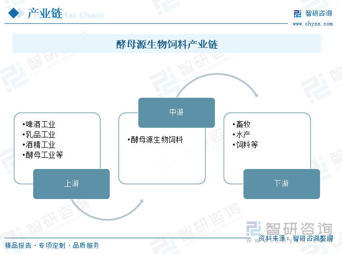 最早的酵母源生物饲料来源于工业发酵副产物，如啤酒酵母、乳清酵母、酒精酵母等。啤酒酵母是啤酒工业的副产品，是将啤酒发酵罐中酵母回收并高温烘干而制成；乳清酵母是利用乳品工业中乳清废液生产的副产品；酒精酵母为酒精生产工业的副产品。现阶段，随着酵母工业的发展，纯培养酵母及其衍生物也作为酵母源生物饲料的重要来源之一，广泛应用于畜牧、水产、饲料等领域。