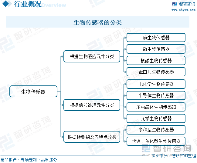 生物传感器的分类