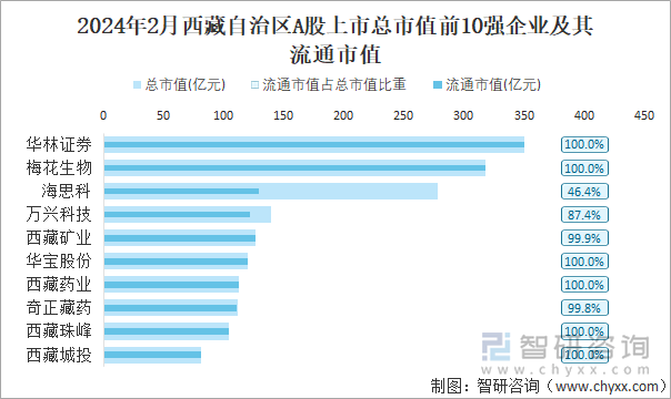 2024年2月西藏自治区A股上市总市值前10强企业及其流通市值