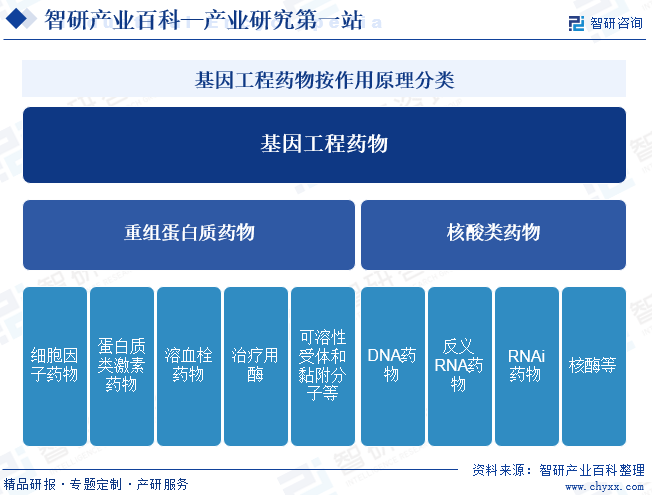 基因工程药物按作用原理分类