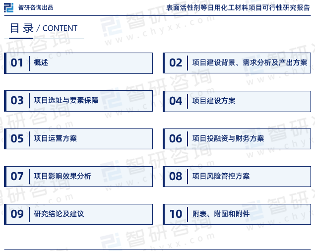 《表面活性剂等日用化工材料项目可行性研究报告》目录