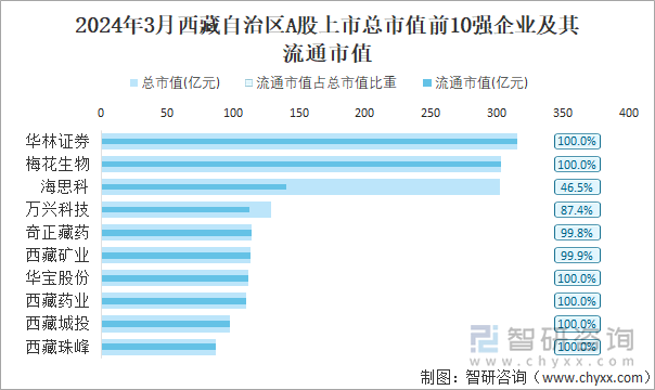 2024年3月西藏自治区A股上市总市值前10强企业及其流通市值