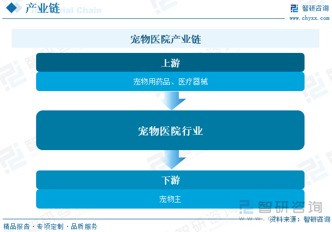 宠物医院产业链