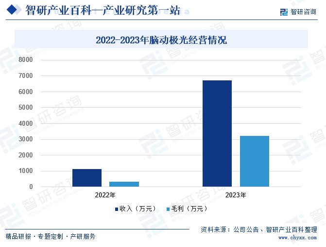 2022-2023年脑动极光经营情况