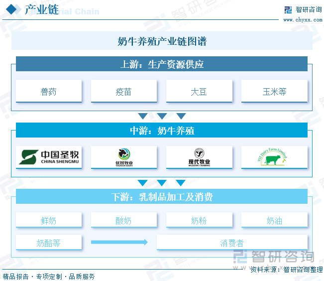 奶牛养殖产业链图谱