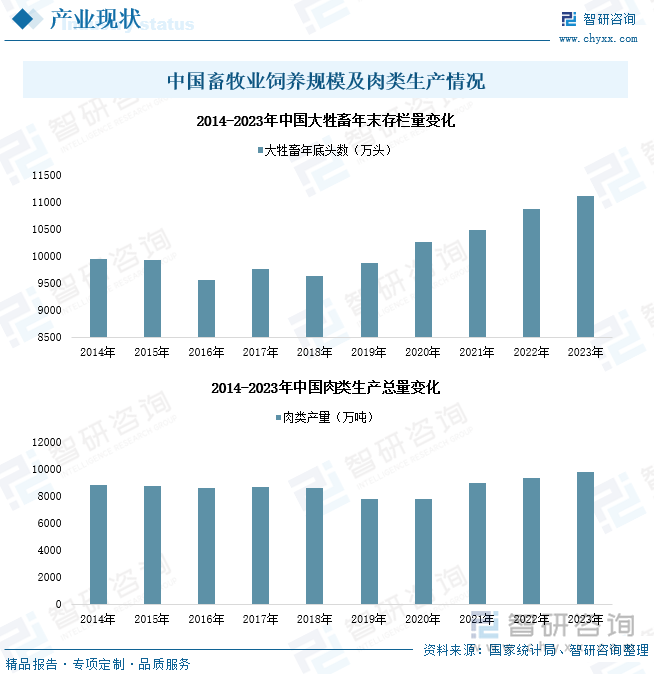 中国畜牧业饲养规模及肉类生产情况