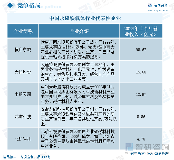 中国永磁铁氧体行业代表性企业