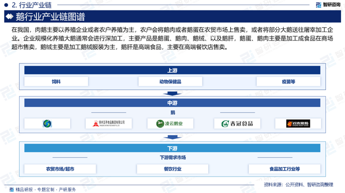 在我国，肉鹅主要以养殖企业或者农户养殖为主，农户会将鹅肉或者鹅蛋在农贸市场上售卖，或者将部分大鹅送往屠宰加工企业。企业规模化养殖大鹅通常会进行深加工，主要产品是鹅蛋、鹅肉、鹅绒、以及鹅肝，鹅蛋、鹅肉主要是加工成食品在商场超市售卖，鹅绒主要是加工鹅绒服装为主，鹅肝是高端食品，主要在高端餐饮店售卖。